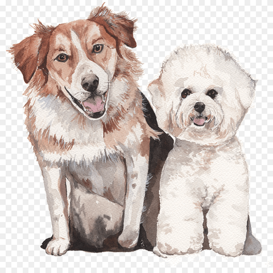 Custom Watercolor Pet Portraitclass Lazyload Lazyload Watercolour Dog Transparent, Animal, Canine, Mammal, Art Png