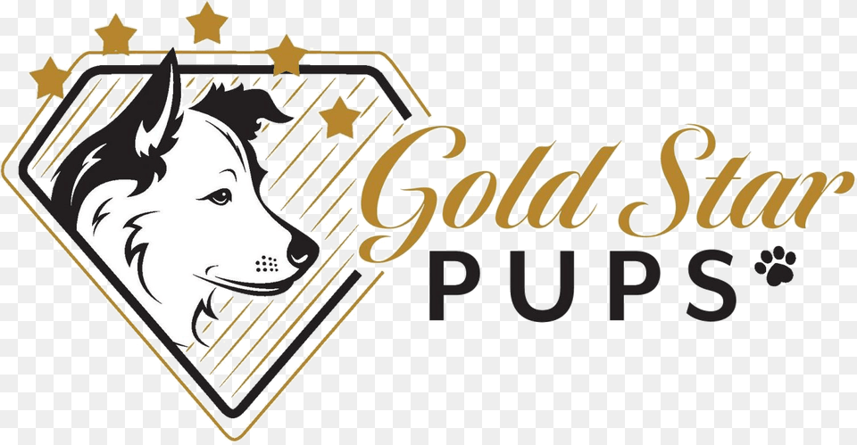 Customer Reviews Gold Star Pups Llc Northern Breed Group, Logo, Face, Head, Person Free Png Download
