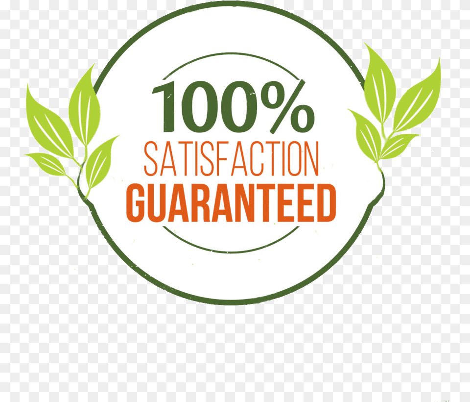 Customer Service Guarantee Wydad Casablanca, Herbal, Herbs, Leaf, Plant Free Png