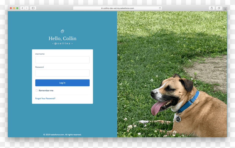 Customize Login Free Transparent Png