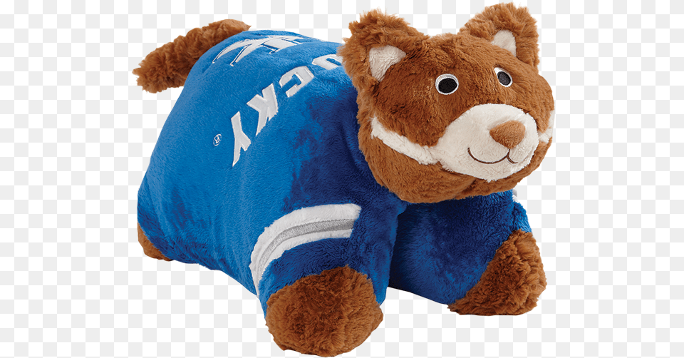 Customized Image Stuffed Toy, Plush, Teddy Bear Free Png