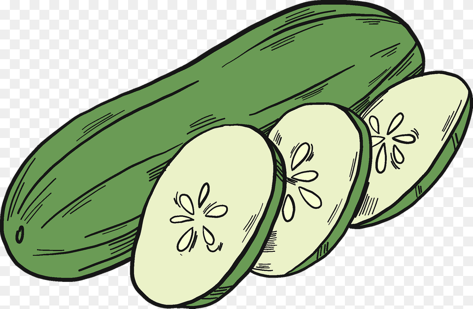 Cut Cucumber Clipart, Food, Plant, Produce, Vegetable Png