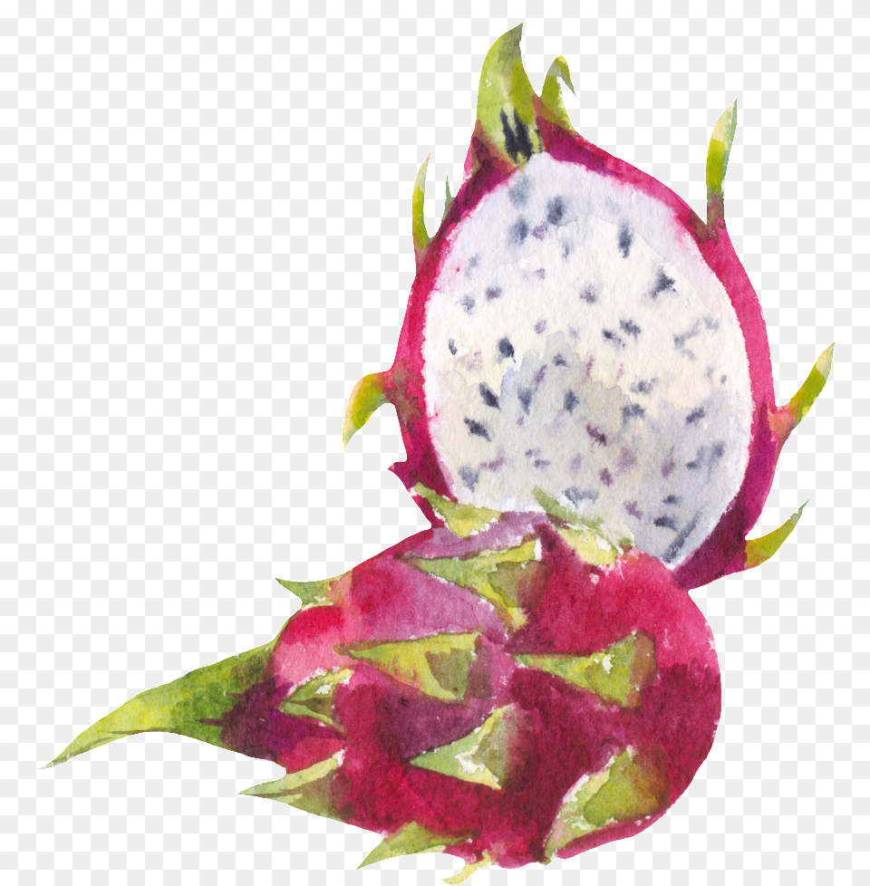 Cut Dragon Fruit Transparent Dragonfruit, Flower, Plant, Food, Produce Free Png