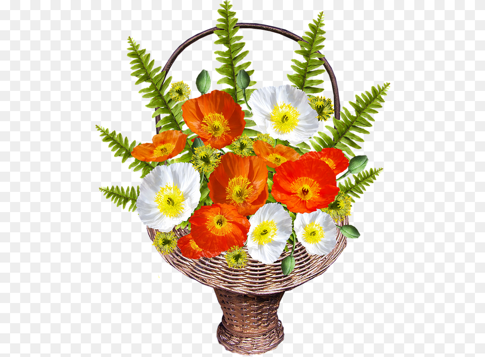 Cut Flowers, Flower, Flower Arrangement, Flower Bouquet, Plant Png
