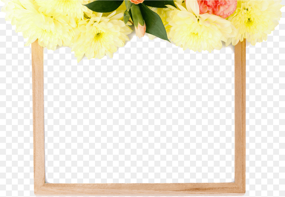 Cut Flowers Picture Frames Petal Floral Design Flower, Dahlia, Plant, Blackboard Png Image