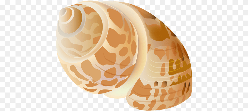 Cut Image Under The Sea Decorations Printable Brother Seashell, Animal, Clam, Food, Invertebrate Free Png Download