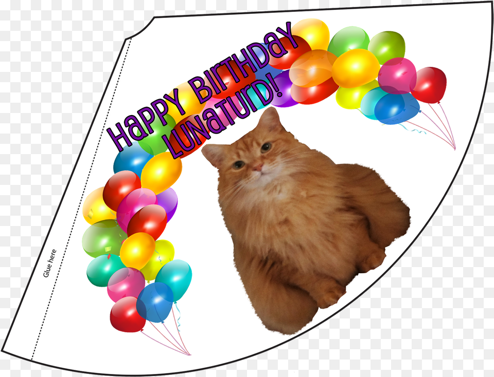 Cut Out Birthday Hats, Balloon, Animal, Cat, Mammal Free Transparent Png