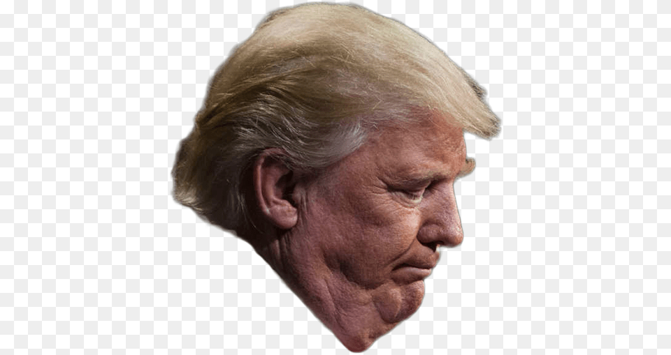 Cut Out Trump Face, Adult, Photography, Person, Man Free Transparent Png