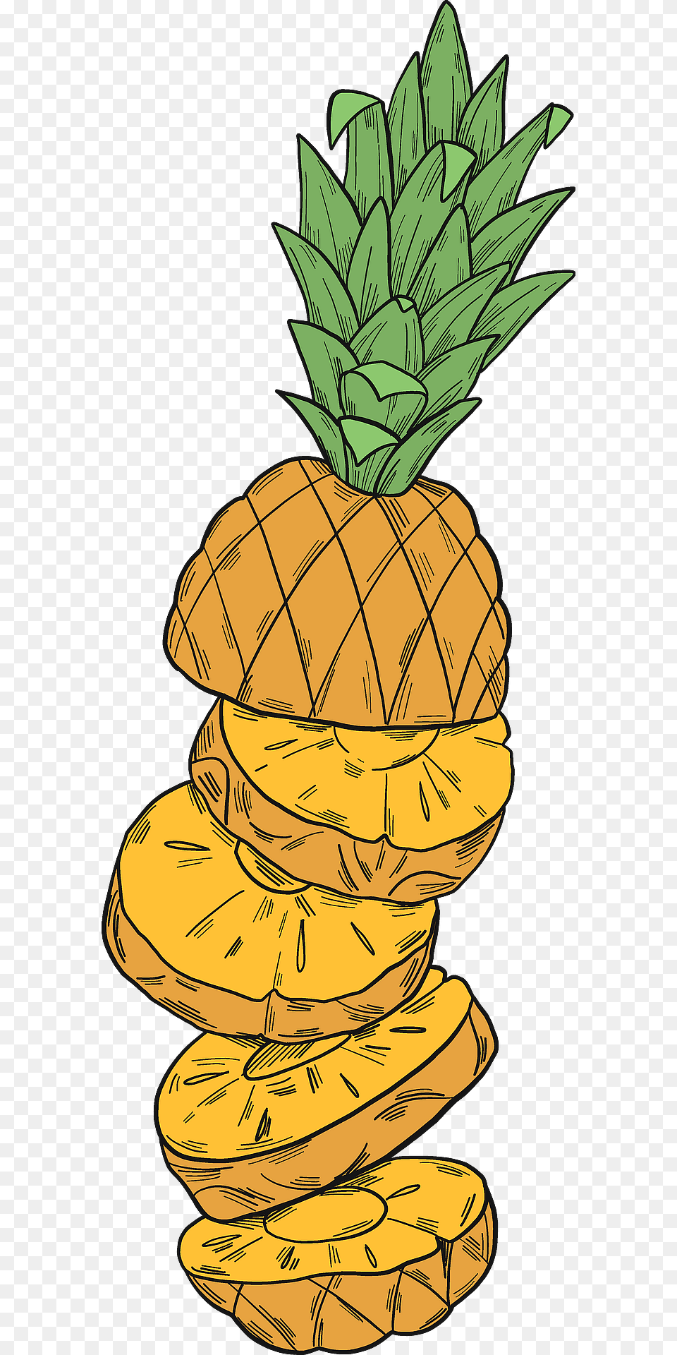 Cut Pineapple Clipart, Food, Fruit, Plant, Produce Png Image