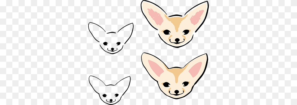 Cute Animal, Canine, Chihuahua, Dog Free Png Download