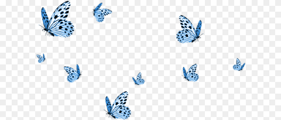 Cute Aesthetic Tumblr Butterflies Butterfly Blue Flying Butterfly Hd, Accessories, Animal, Bird, Pattern Png