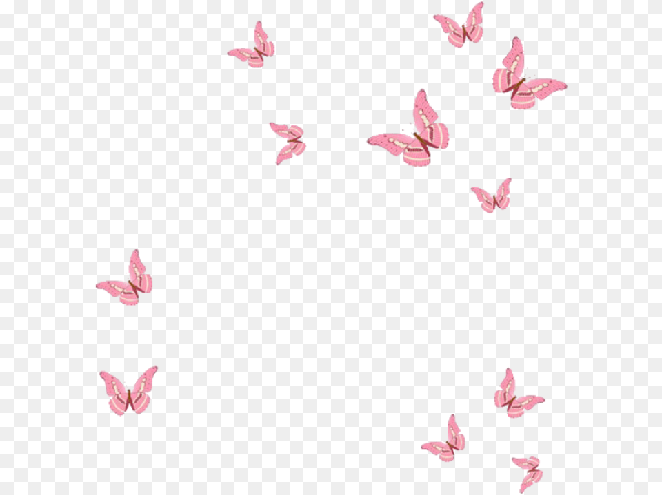 Cute Aesthetic Tumblr Butterflies Butterfly Pink, Animal, Bird, Flying, Mammal Free Png Download