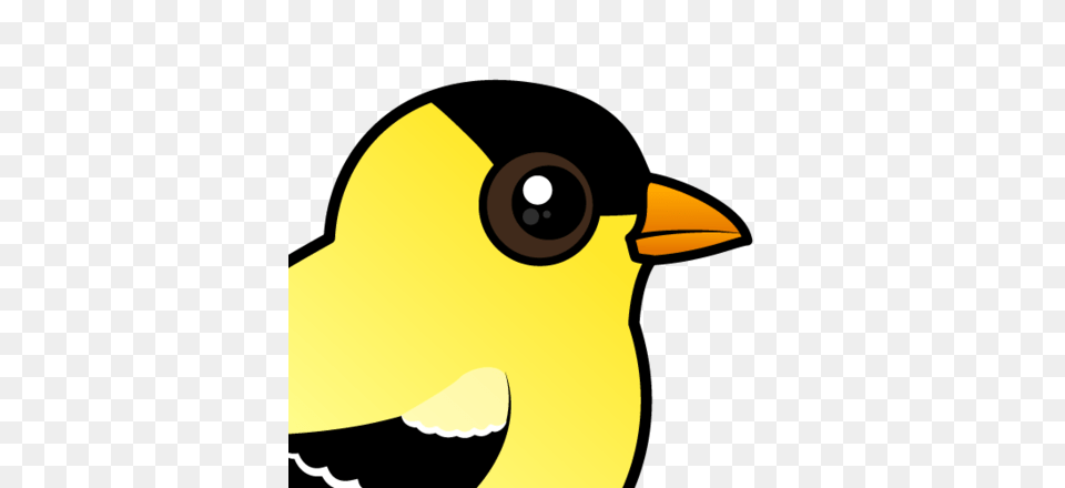 Cute American Goldfinch, Animal, Beak, Bird, Finch Png