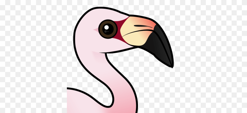 Cute Andean Flamingo Lt Meet The Birds Lt Birdorable, Animal, Beak, Bird Free Png Download