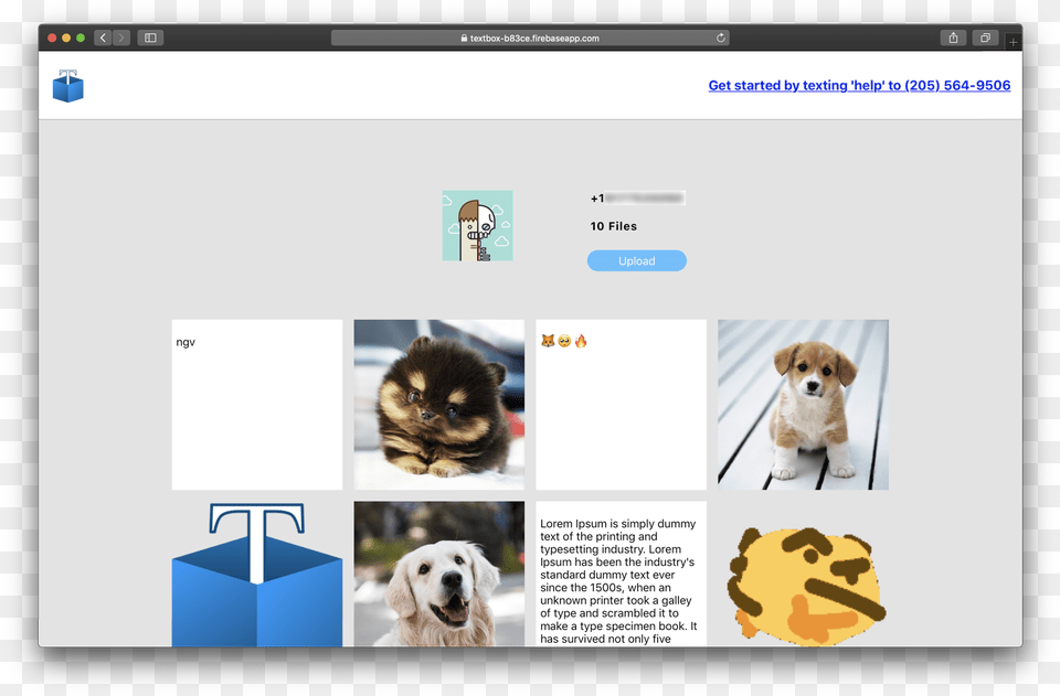 Cute Animal, File, Webpage, Puppy, Pet Free Png Download