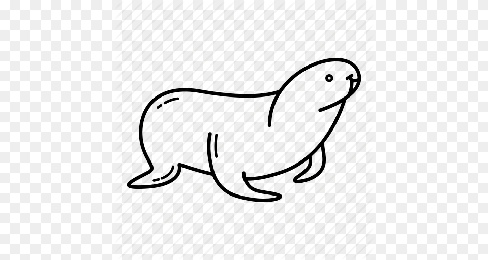 Cute Animal Marine Animal Sea Sea Creature Sea Lion Seal, Mammal Free Png Download