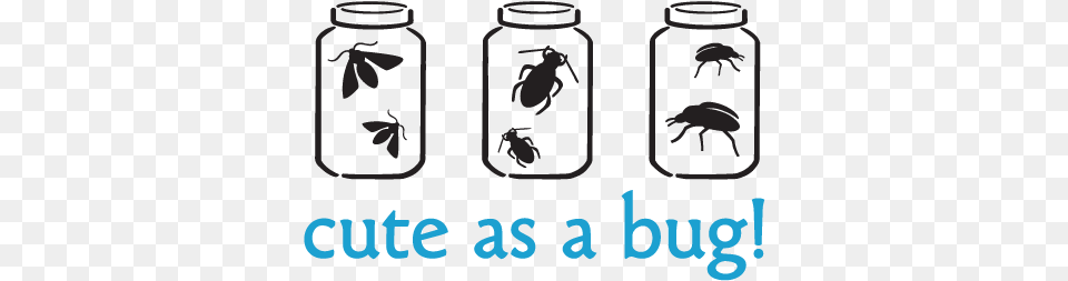 Cute As A Bug With Jars Vinyl Wall Decal Wall Decal, Jar, Pottery, Vase Free Png