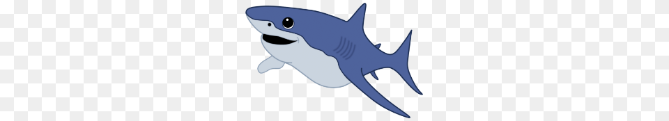 Cute Baby Shark Clipart Free Clipart, Animal, Sea Life, Fish, Blade Png