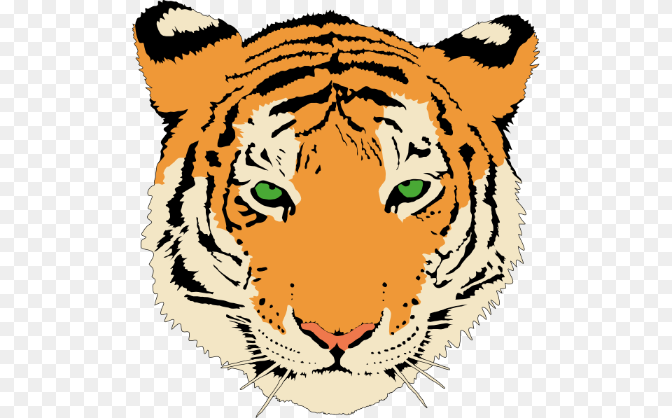 Cute Baby Tiger Clipart, Person, Animal, Mammal, Wildlife Free Png