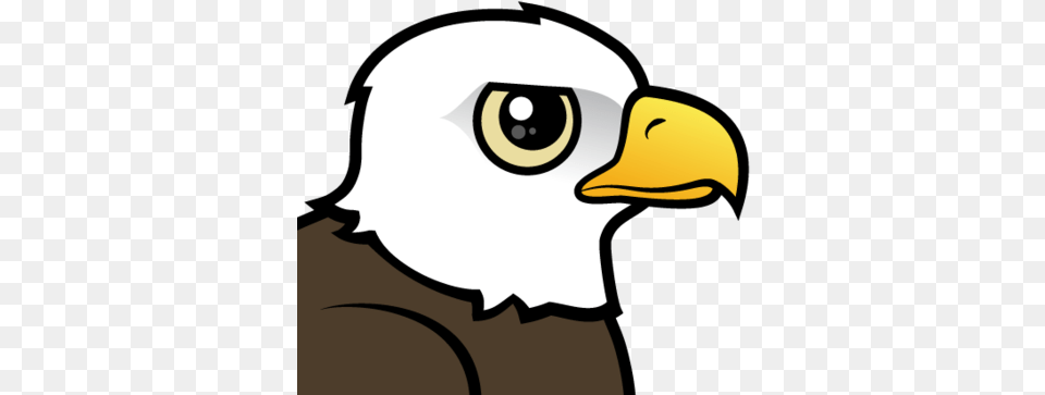 Cute Bald Eagle By Birdorable U003c Meet The Birds Cute Bald Eagle, Animal, Beak, Bird, Bald Eagle Free Png Download