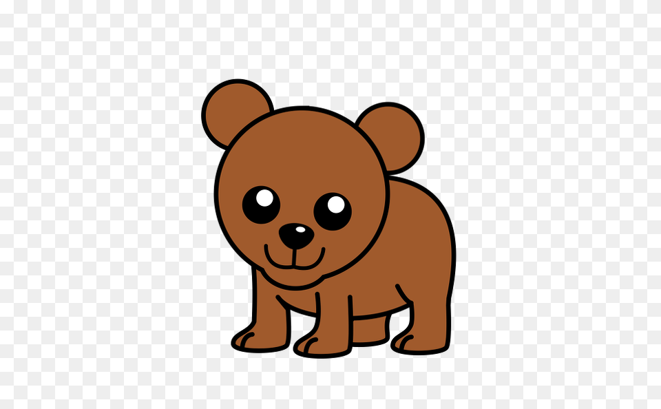 Cute Bear, Animal, Mammal, Wildlife, Face Png