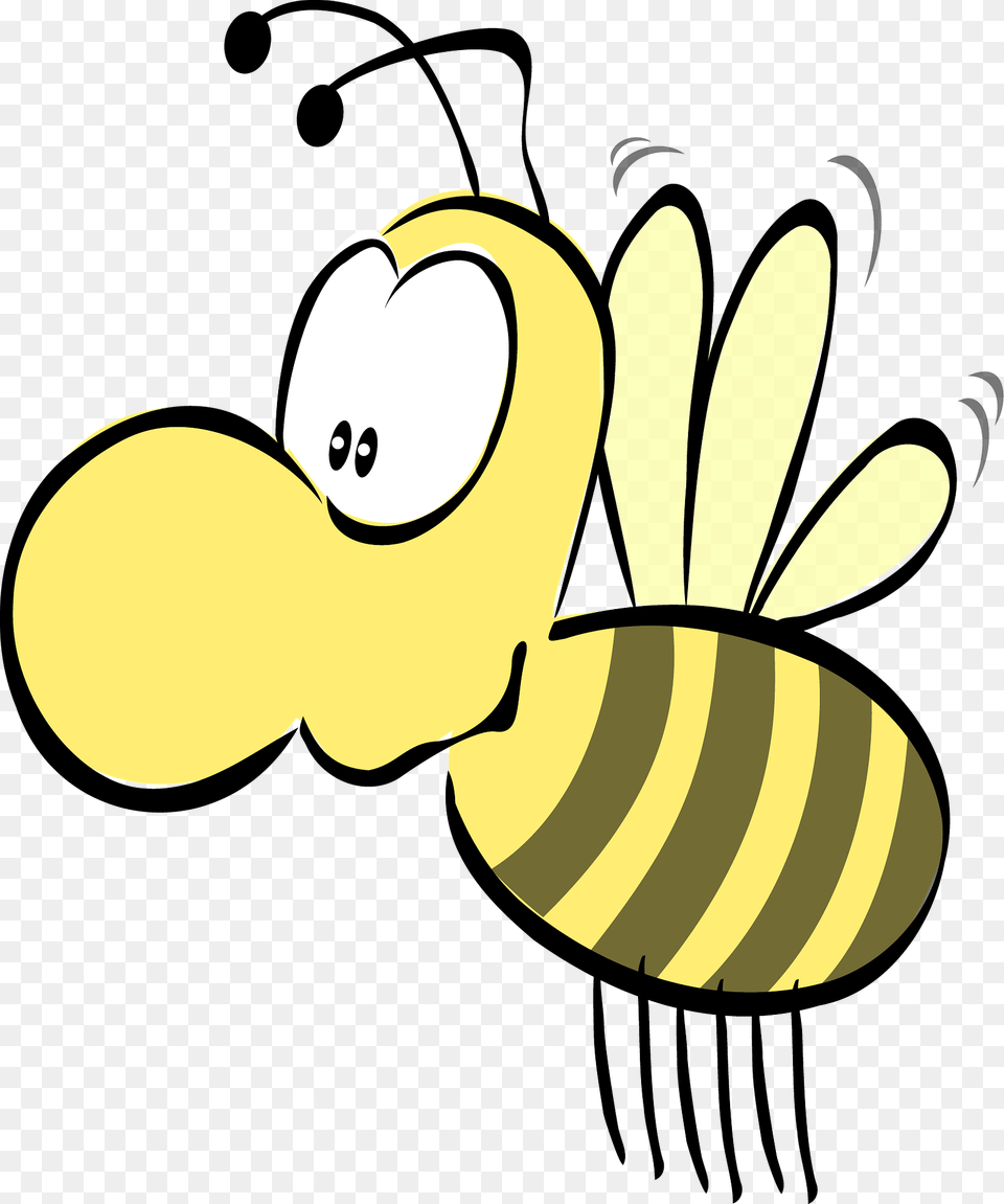 Cute Bee Clipart, Animal, Honey Bee, Insect, Invertebrate Png