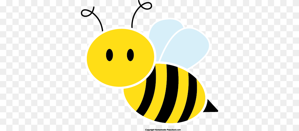 Cute Bee Clipart, Animal, Honey Bee, Insect, Invertebrate Free Png