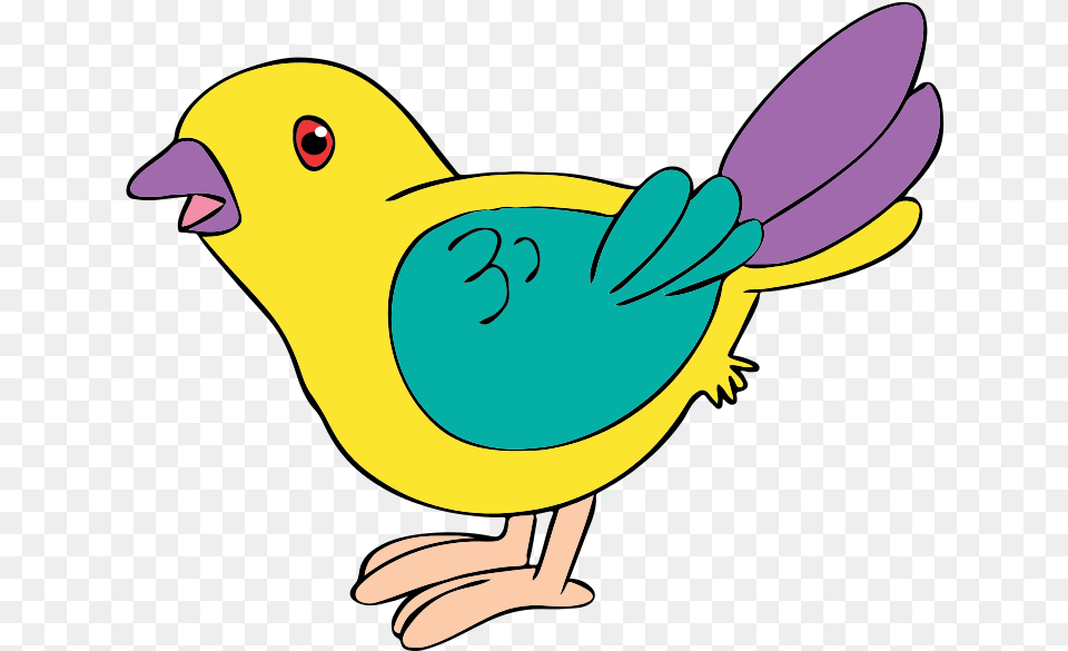 Cute Bird Bird Clipart, Animal, Beak, Finch Png
