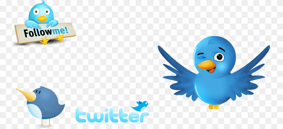 Cute Bird Transparent Background Download Follow Me On Twitter, Animal Png