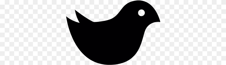 Cute Bird Vector Cute Bird Silhouette, Lighting, Animal, Pigeon Png