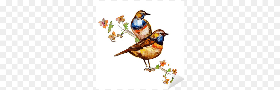 Cute Birds For Your Design Artland Aloksa Florale Karte Im Retro Design Mit Wasserfarbe, Animal, Bird, Finch, Jay Free Transparent Png