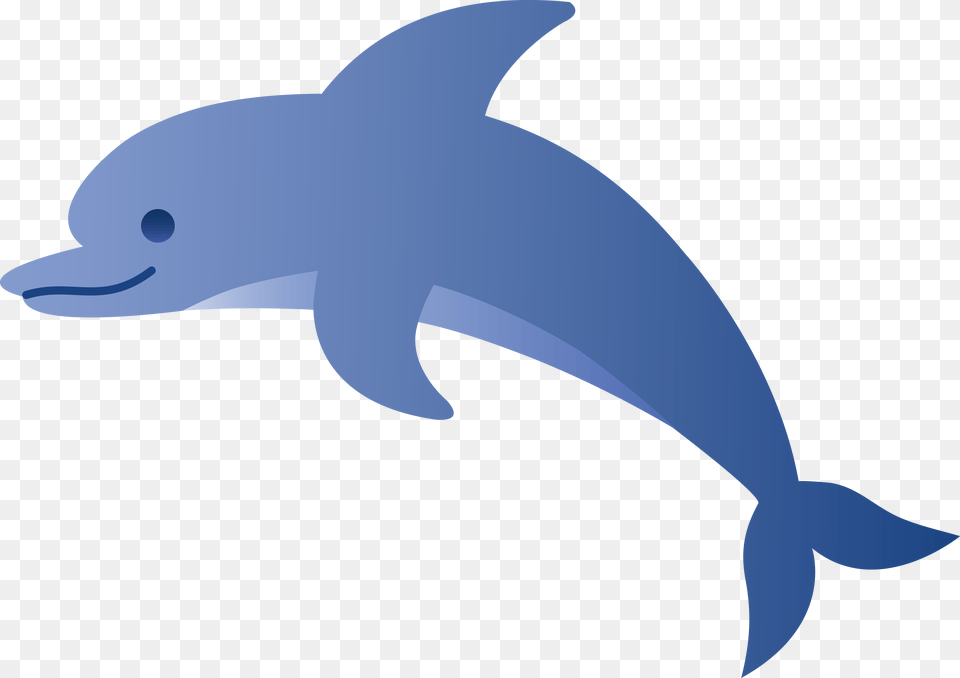 Cute Blue Dolphin, Animal, Mammal, Sea Life, Baby Free Png Download