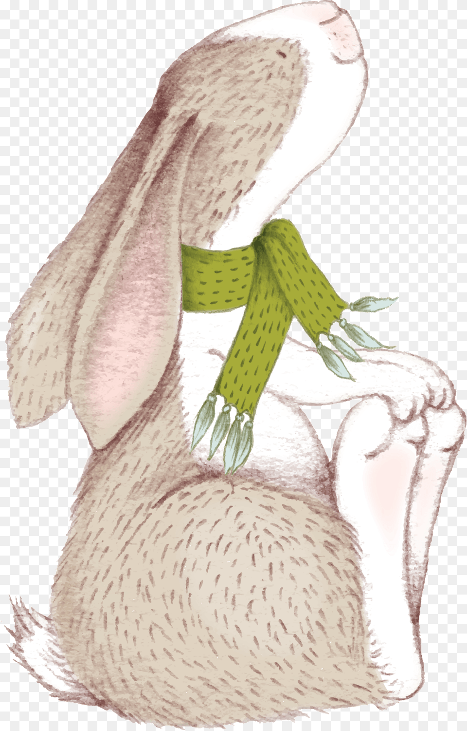 Cute Bunny Bullet Journal Cute Bunny Rabbit In Christmas Scene, Animal, Bird, Waterfowl, Adult Free Transparent Png