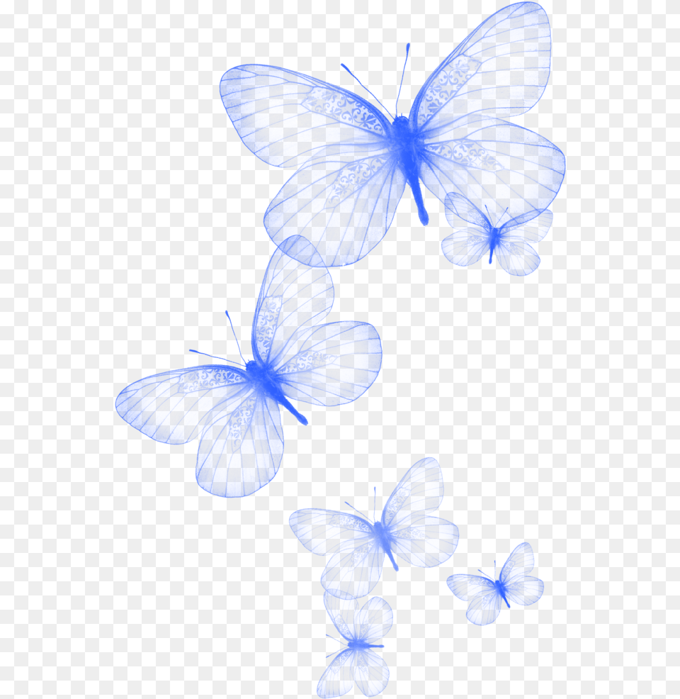Cute Butterfly, Flower, Petal, Plant, Baby Free Png