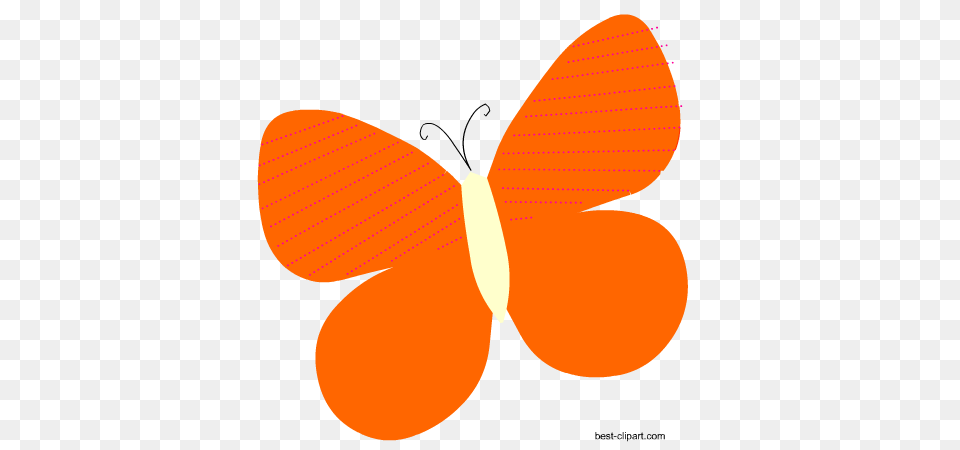 Cute Butterfly Clip Art Graphics, Accessories, Formal Wear, Tie, Animal Free Png Download