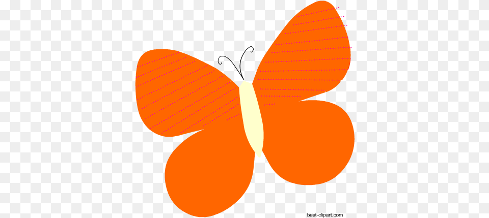 Cute Butterfly Clip Art Graphics Orange Butterfly Clip Art, Accessories, Formal Wear, Tie, Animal Png