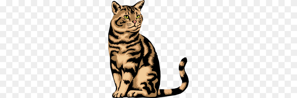 Cute Calico Cat Clipart, Animal, Mammal, Tiger, Wildlife Free Transparent Png