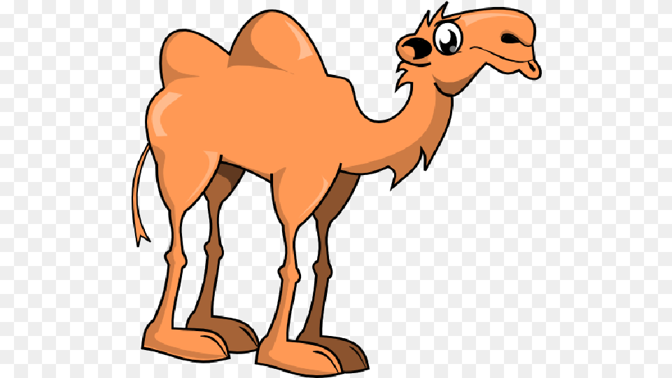 Cute Camel Clipart Funny Pictures Camel Clipart, Animal, Mammal, Person Free Png