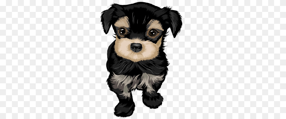 Cute Cartoon Dog Pictures Image Group, Animal, Canine, Mammal, Pet Png