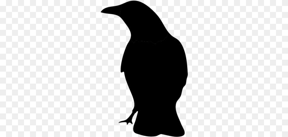 Cute Cartoon Raven Transparent Images Adlie Penguin, Silhouette, Bow, Weapon, Animal Free Png