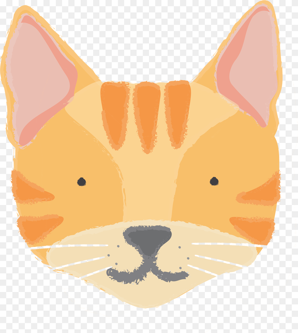 Cute Cat, Baby, Person, Animal, Mammal Png