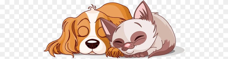 Cute Cat And Dog Clipart Cat And Dog Animated, Person, Sleeping, Animal, Canine Free Png