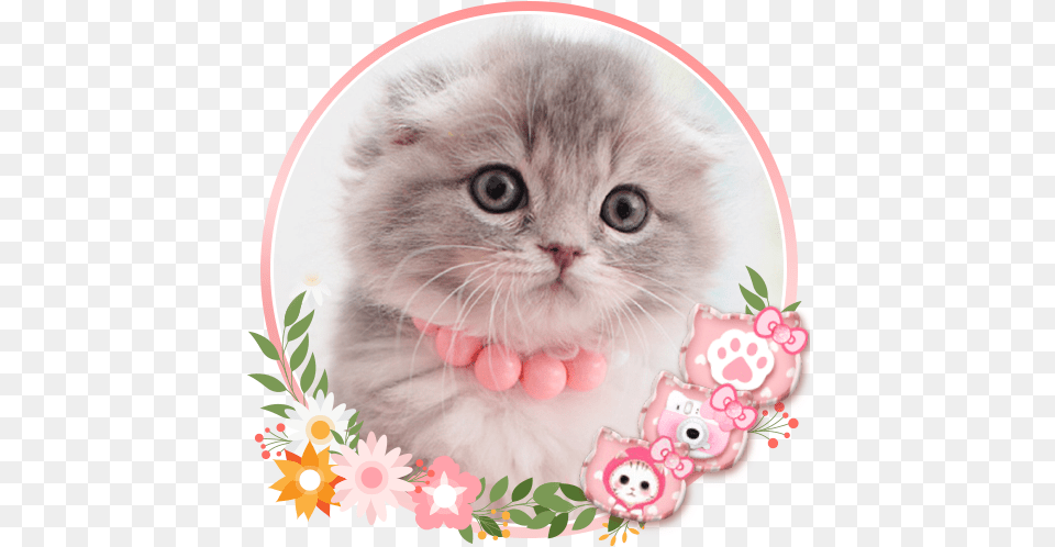 Cute Cat Live Launcher Theme 3d Wallpapers Apps On Google Play Cute Wallpaper Kucing Kartun Pink, Animal, Kitten, Mammal, Pet Free Png