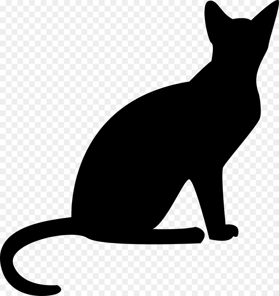 Cute Cat Stock Vector Cat, Silhouette, Animal, Mammal, Pet Png Image
