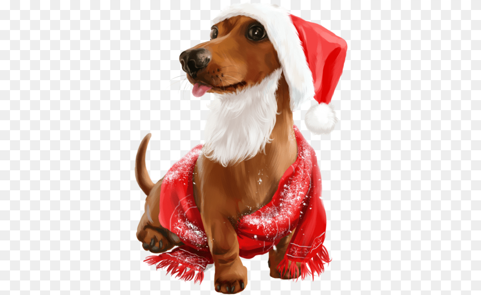 Cute Christmas Animals, Hound, Animal, Canine, Dog Png Image