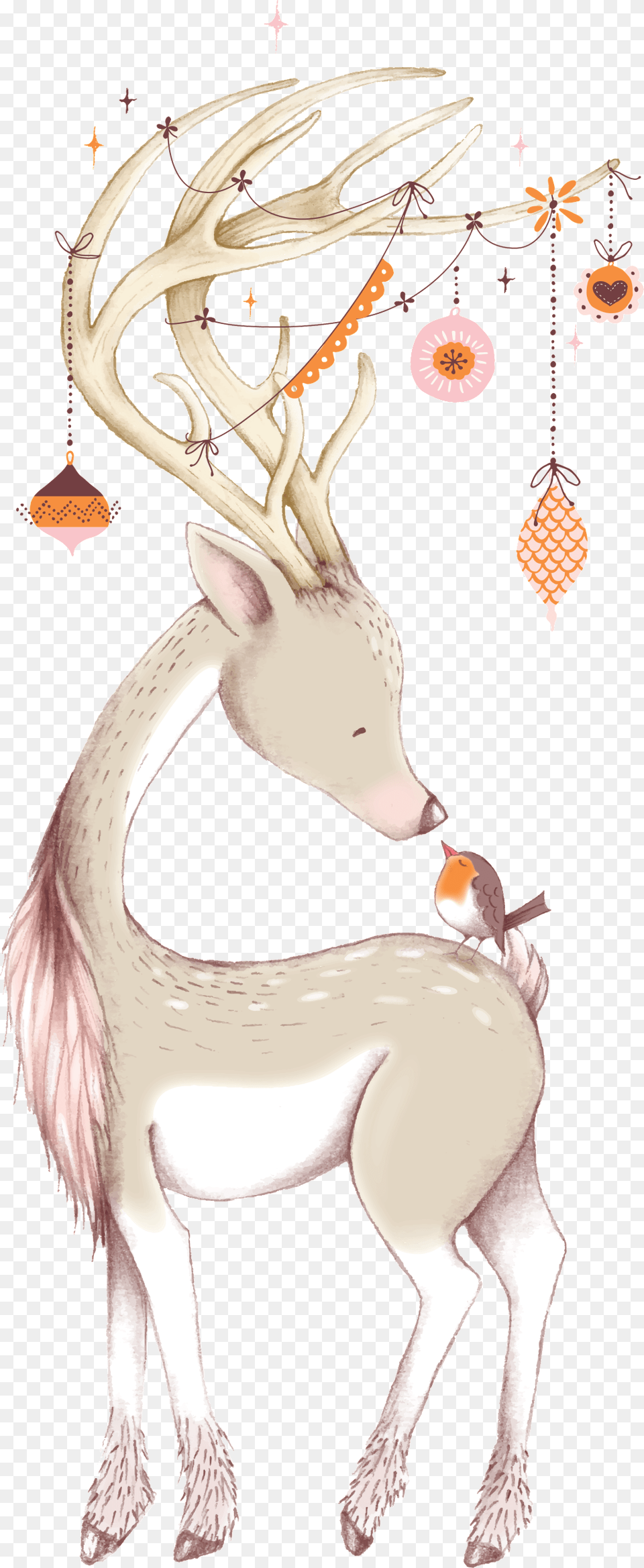 Cute Christmas Deer Ornaments Amp Oval Ornament Christmas Picture Cute, Animal, Antler, Mammal, Wildlife Free Transparent Png
