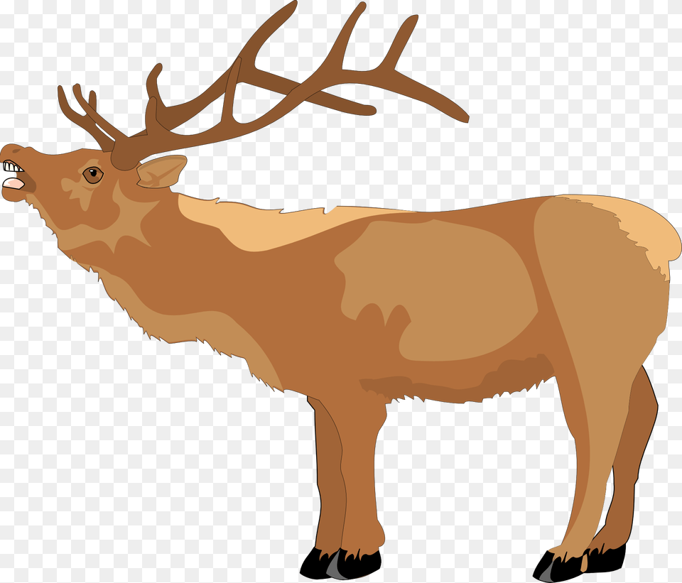 Cute Christmas Reindeer Clipart, Animal, Deer, Elk, Mammal Free Transparent Png