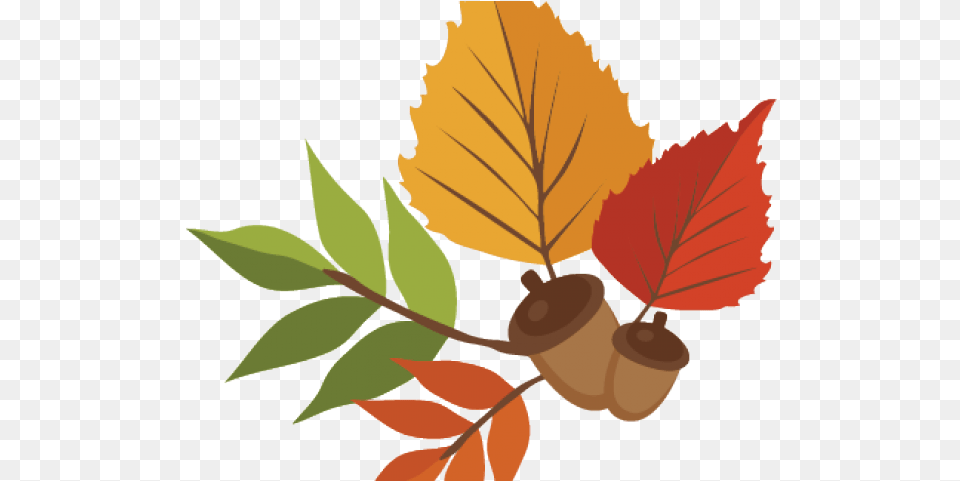 Cute Clipart Autumn 2018 Fall Family Picture Outfits Autumn Leaves Clipart, Food, Leaf, Nut, Plant Png