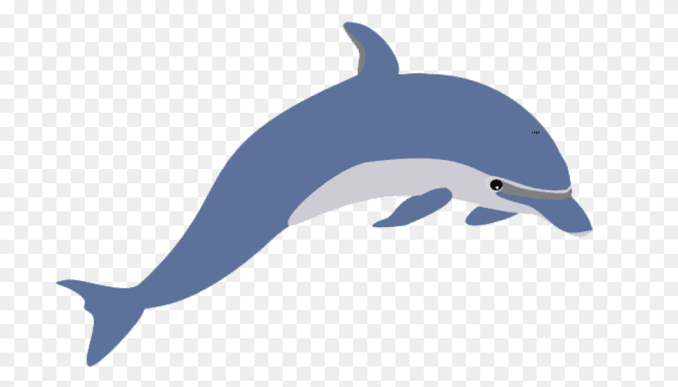 Cute Clipart Dolphin, Animal, Mammal, Sea Life, Fish Png