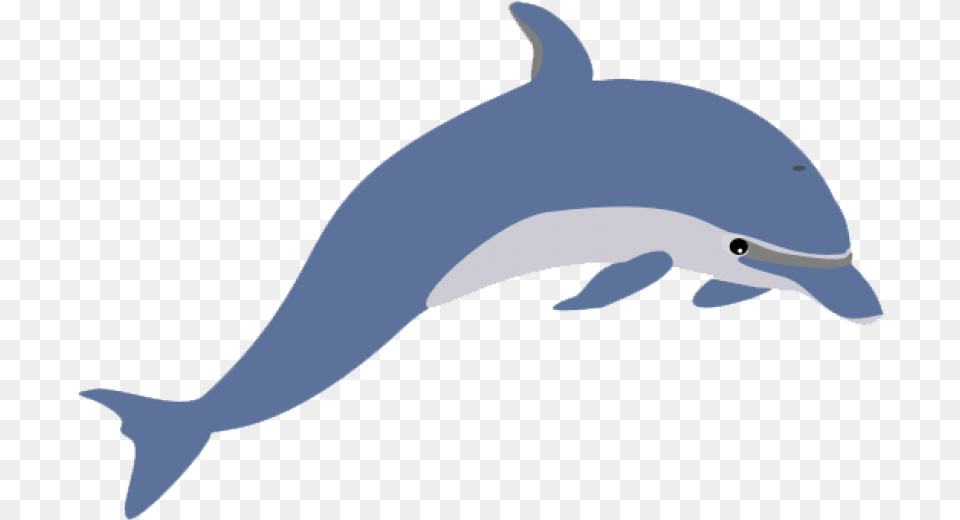 Cute Clipart Dolphin Image Dolphin Clipart Transparent Background, Animal, Mammal, Sea Life, Fish Free Png